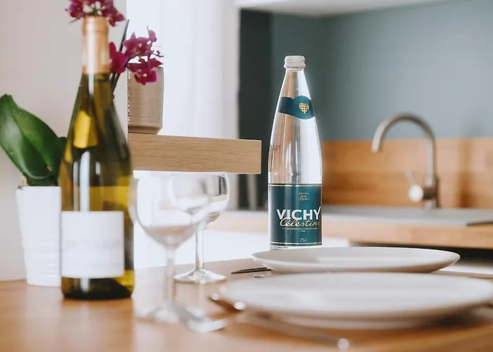 Апартаменты Celestin Marie Celine Rdc Hypercentre Lumineux Виши