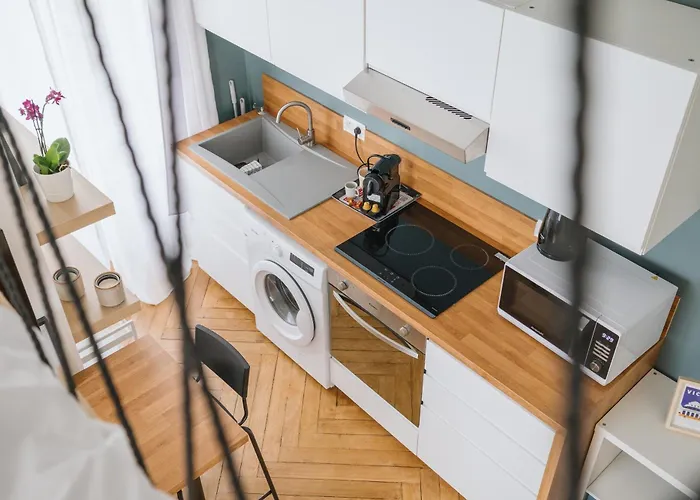 Celestin Marie Celine Rdc Hypercentre Lumineux * Виши