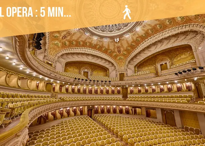 Celestin Marie Celine Rdc Hypercentre Lumineux Виши